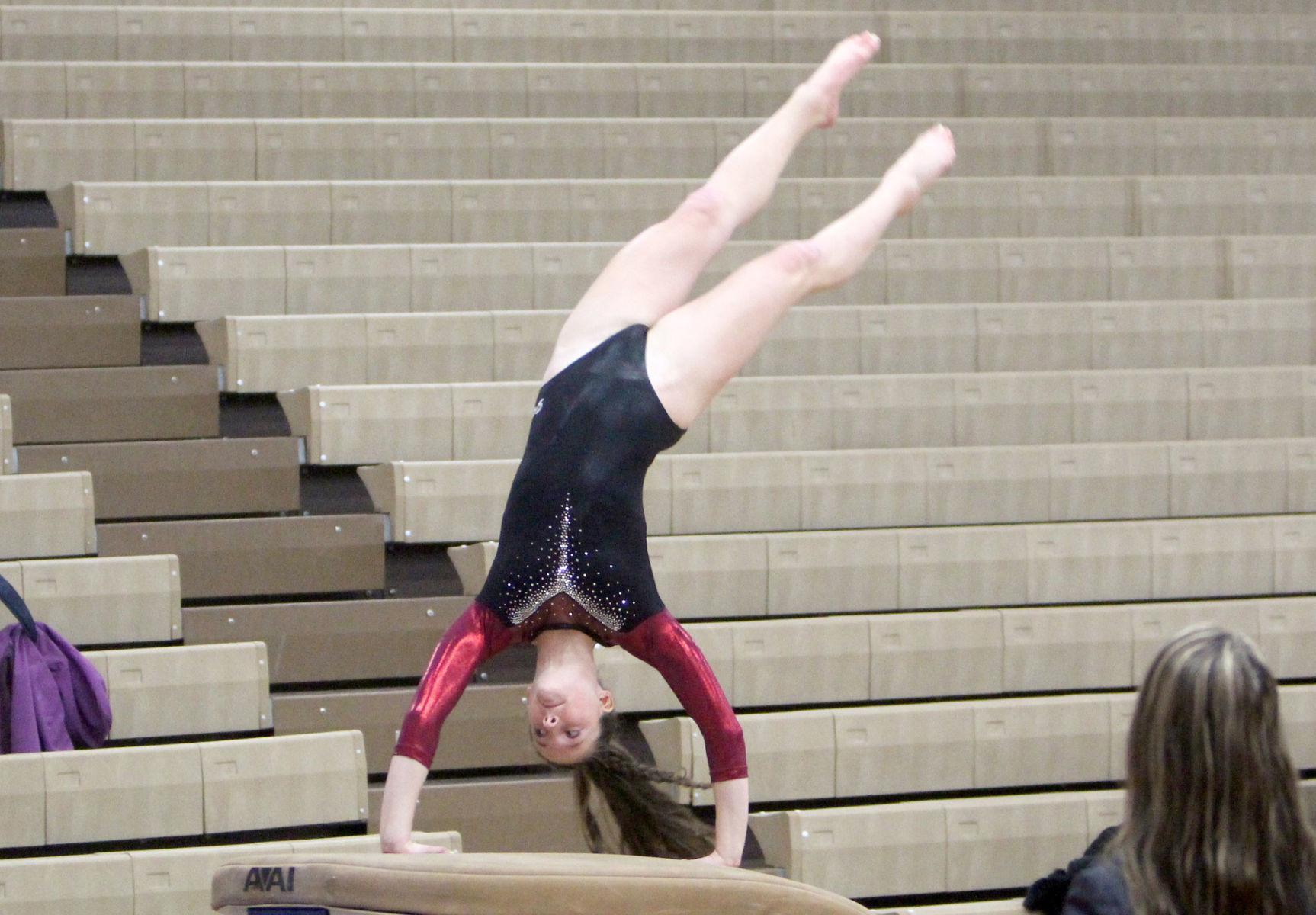 Chi-Hi Gymnastics Triangular 1-17-19